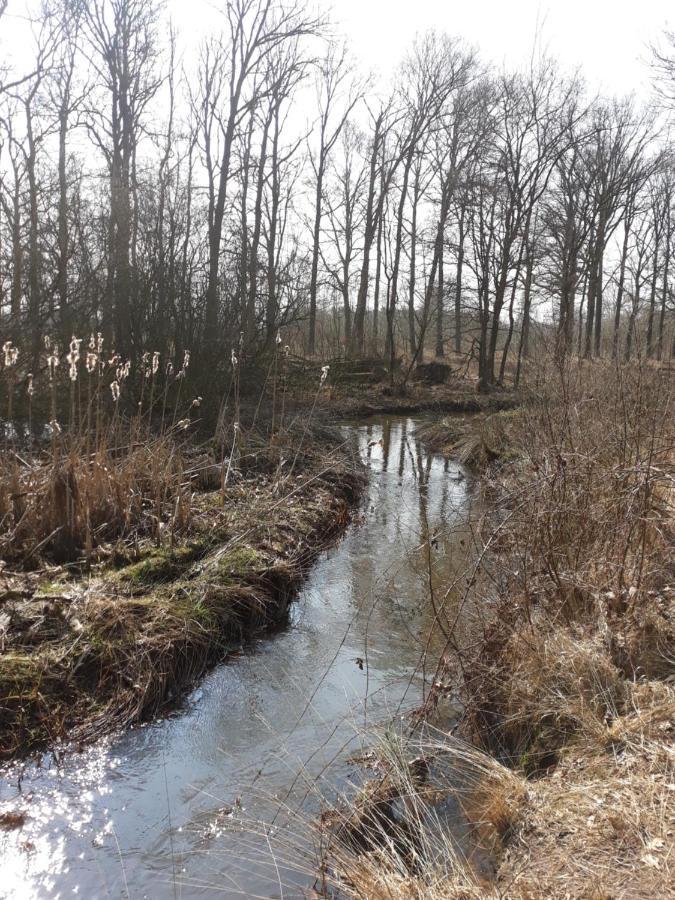 Bospareltjes Luxe Chalets Alleen Voor Recreatie Oisterwijk Buitenkant foto