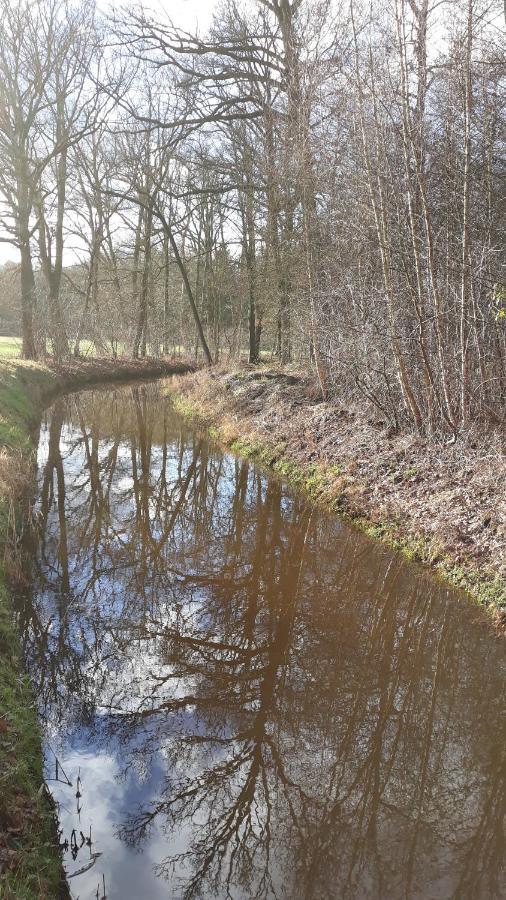 Bospareltjes Luxe Chalets Alleen Voor Recreatie Oisterwijk Buitenkant foto