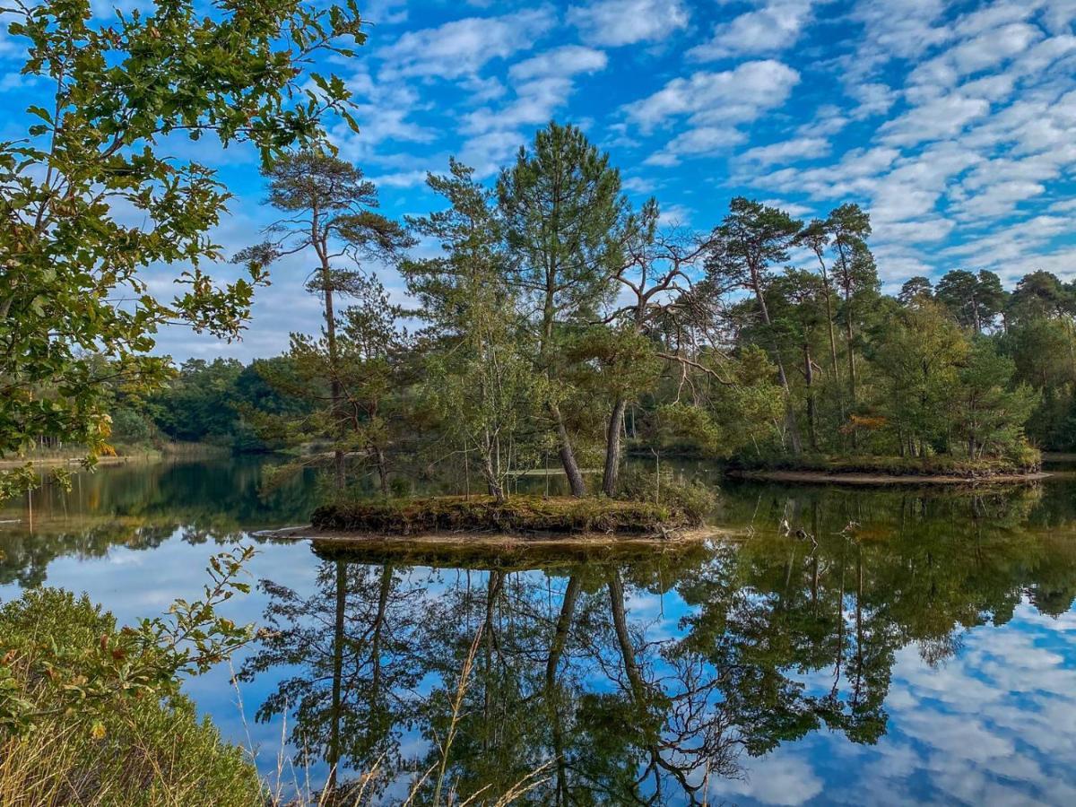 Bospareltjes Luxe Chalets Alleen Voor Recreatie Oisterwijk Buitenkant foto